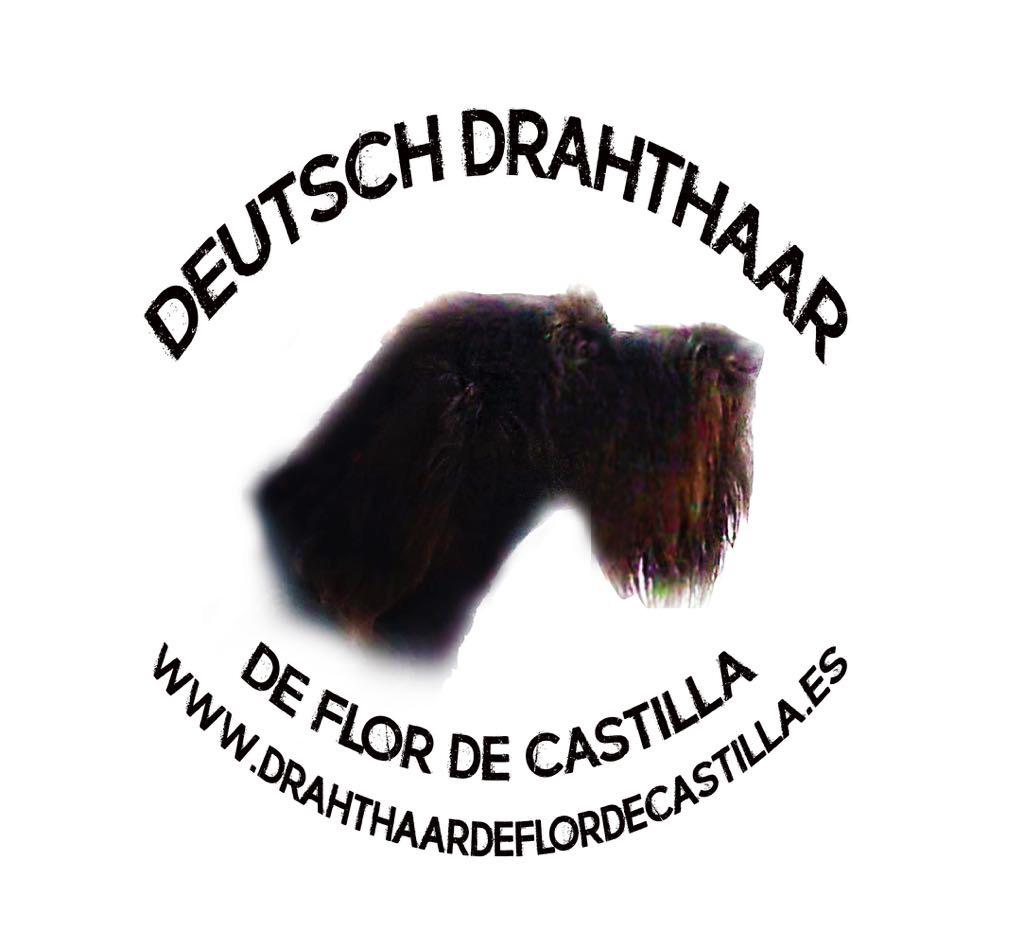 deflordecastilla.com