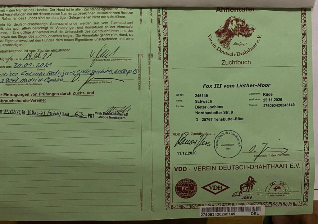 Certificado de pedigrí oficial (Ahnentafel) de un perro de raza Deutsch-Drahthaar llamado Fox III vom Liether-Moor.