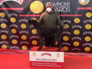 Hombre con mascarilla y su perro Deutsch-Drahthaar en el podio de la Exposición Canina de Valladolid 2022.