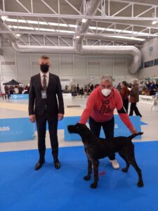Juez y presentador posando con un Deutsch-Drahthaar en el ring de una exposición canina.