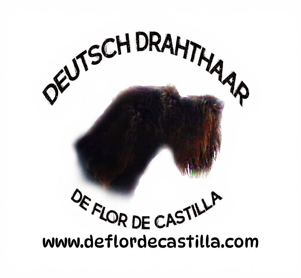 deflordecastilla.com